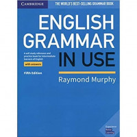 English Grammar In use